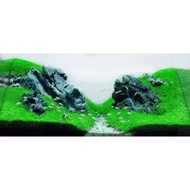 Ice Cream Clip Up Aquarium Setup (Extremely Beautiful Selection)