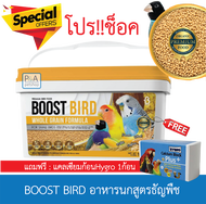 พร้อมส่ง!! BOOST BIRD อาหารนกสูตรธัญพืช /สำหรับนกขนาดเล็ก/ 1kg. [โปรแถมแคลเซียม1ก้อน].