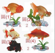 Yujin 原色鑑賞魚圖鑑 I 原色觀賞魚圖鑑 金魚扭蛋 全新散款有蛋紙 從未開過原封膠袋 每款售$40元起