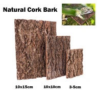 Natural Cork Bark for Tarantula Hideout Reptile Terrarium Climb Tree Bark Background Enclosure