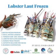 Ready Stok Lobster Laut Frozen 1Kg (Isi 7-10) Babby Lobster Best