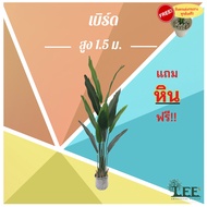 ต้นเบิร์ด สูง 1.5 เมตร พร้อมกระถางพลาสติก ต้นไม้ปลอมตกแต่งบ้าน Leeartplants