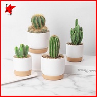 INVADER Round Succulent Plants Garden Supply Orchid Pots With Drainage Hole Self Watering Flower Pot Flower Containers Indoor