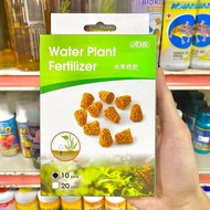 WATER PLANT PLANT ROOT TAB PENGGALAK AKAR POKOK AQUASCAPE LOWTECH HIGHTECH BAJA POKOK PIL TANAM BAJA