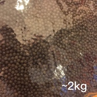 BAJA KOPI ORGANIC NPK 8-8-8 有机植物肥料 2kg