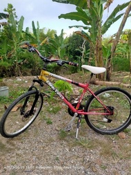 Sepeda Gunung Bekas