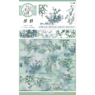 (Cyclic extraction) Clear PET adhesive tape [Manh Truc]