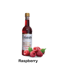 TRIESTE Italian Premium Syrup Varian FRUIT SYRUP 650ml