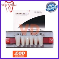 Gigi Caiyu Depan Bawah 1 papan/set/strip isi 6 butir gigi palsu anterior lower merk cayyu yuying ata