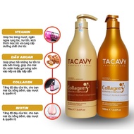Cặp dầu gội xả TACAVY Collagen 1000ML PHỤC HỒI HƯ TỔN KHÔ XƠ GÃY RỤNG ️️HÀNG CHÍNH HÃNG ALYA