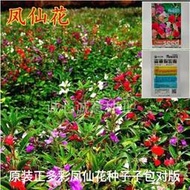 余記丶原裝重瓣鳳仙花種子 四季易活茶花鳳仙花盆栽庭院四季種植植物花籽