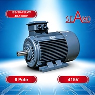 SEAMO IE3 Motor 40-100HP 30-75kW 6P 3 Phase Industrial Electric Motor IP55 Class F 415V