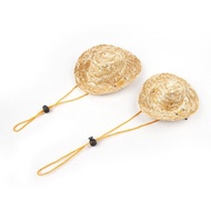 Pet Hat Pet Supplies Straw Hat Cat Cat Sunshade Hat Pet Straw Hat Hat Straw Straw Hat20260131