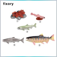 fixory Salmon Life Cycle Toys, Preschool Educational Tools, Animal Growth Cycle Figurines, Farm Anim