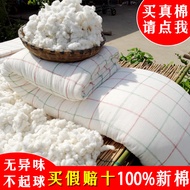 5ZW 100% Cotton Quilt Core Winter Quilt10Thickened Warm Handmade Cotton Quilt Pure Cotton Filling Do