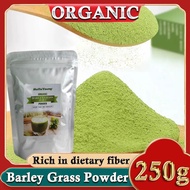 Barley Grass Powder 100% Pure &amp; Organic Organic Barley Grass Powder Pure Organic Barley for Women and Men 250g  Rich in Fibers, Vitamins, Minerals, Raw Organic