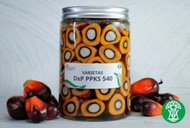Bibit Benih Kecambah Sawit Unggul PPKS DXP SMB 239 YANGAMBI 540 NG (ISI 150 & 250 BUTIR)