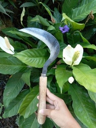 arit sabit mini baja asli super tajam /ARIT Rambanan ternak