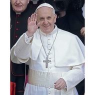 Chun Beauty POPE Francis Picture Image Flower porcelain canvas