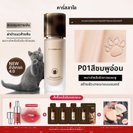 CARSLAN | รองพื้นปกปิดยาวนาน