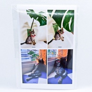 Cat Photo 4 Shots Size 4 x 6 Inches Cute Solid [CHALIDA]