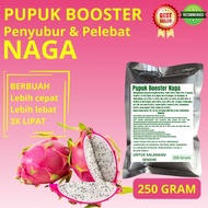 Pupuk Booster Naga / Obat Booster Buah Naga / Pupuk Booster Buah Naga / Pupuk Buah Naga