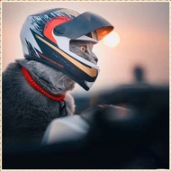 [Ready Stock Bottom Price] Motorcycle Pet Safety Helmet Cat Motorcycle Helmet Doll Toy Pendant Helme