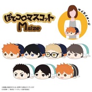 排球少年 及川徹 趴趴公仔 M Size Animate 限定版