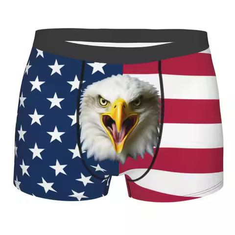 American Flag Eagle Valentine'S Day Underwear Male Birthday Gift For Boyriend Boxer Shorts Panties B
