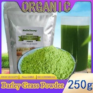 Barley grass official store Organic Barley Grass Powder original 250g 100% Natural Superfood Vegan Gluten Free Non-GMO Kosher