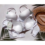 Signature Euro Bra 38B