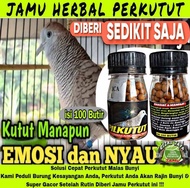 GACOR !!! 100 BUTIR JAMU HERBAL PERKUTUT biar rajin bunyi jamin gacor pil apbn bird care prebiotik r