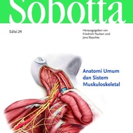 sobotta atlas anatomy edisi 24