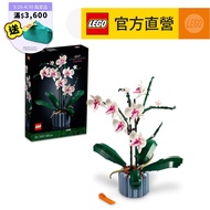 [LEGO LEGO] Icons 10311 Orchid (Home Furnishing Planting)
