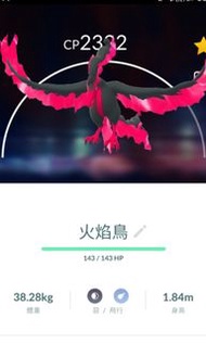 pokemon go 伽勒爾火焰鳥