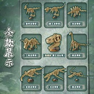 小魯班B1662恐龍化石霸王龍三角龍骨架積木益智拼裝兒童模型玩具-恐龍化石夜光版【9盒/展示盒】