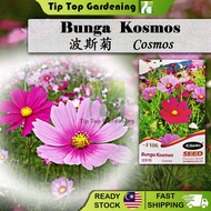 F106 COSMOS JC GARDEN FLOWER SEED BIJI BENIH BUNGA KOSMOS