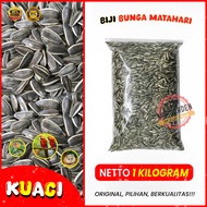 BIJI KUACI 1 KG kwaci bunga matahari pakan burung lovebird hamster