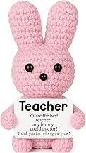Mini Teacher Gifts for Teachers Day Cute Handmade Crochet Bunny Funny Teacher Appreciation Gifts for