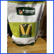 ◱ ➹ ➵ Bravado F1 Hybrid sweet corn kg