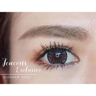 Jeucons Blossom Grey Big Eyes Lens 16mm