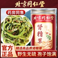 2025 New Product Beijing Tongrentang Kidney Essence Grass Wild Northeast Kidney Essence Herbal Tea F