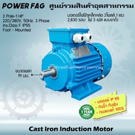 มอเตอร์ไฟฟ้าเหล็กหล่อ แบบขาตั้ง 3 เฟส (สาย) 220/380V. 2 Pole (โพล) 3000 รอบ ขนาด 1 แรงม้า (1 HP) สามารถใช้งานภายนอกอาคารได้ กันน้ำกันฝุ่น IP55