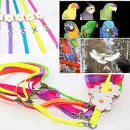 Medium or Large Bird Parrot Leash Outing Leash Pet Leash Grey Parrot Leash Walk