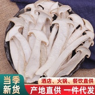 [White Matsutake] Yunnan Specialty Dried Matsutake Slices Winter Matsutake Slices Cedar Matsutake Dr