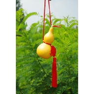 White Skin Gourd Wine Gourd Hand Twist Gourd Small Gourd Wenwan Gourd