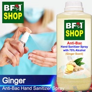 Anti Bacterial Hand Sanitizer Spray with 75% Alcohol - Ginger Anti Bacterial Hand Sanitizer Spray - 1L