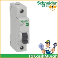 Mcb Easy9 4.5Ka 1P 2A 4A Ez9F541 Schneider Electric