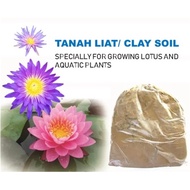 Lotus Mud Soil – Tanah Premium untuk Bunga Teratai GIANT SALVINIA MOLESTA & AZOLLA Microphylla Fairy