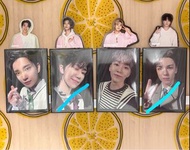 放 Seventeen小卡 carat land 2023 克拉島 Joshua/the8/Boo/Vernon